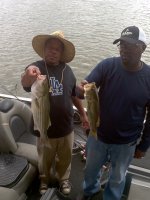 image Lake Bass.jpg